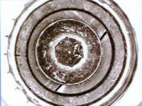 Cracks on the screws